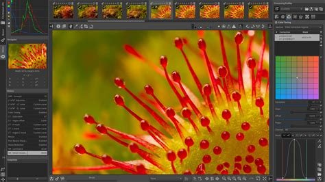 RawTherapee 5.11 Download for